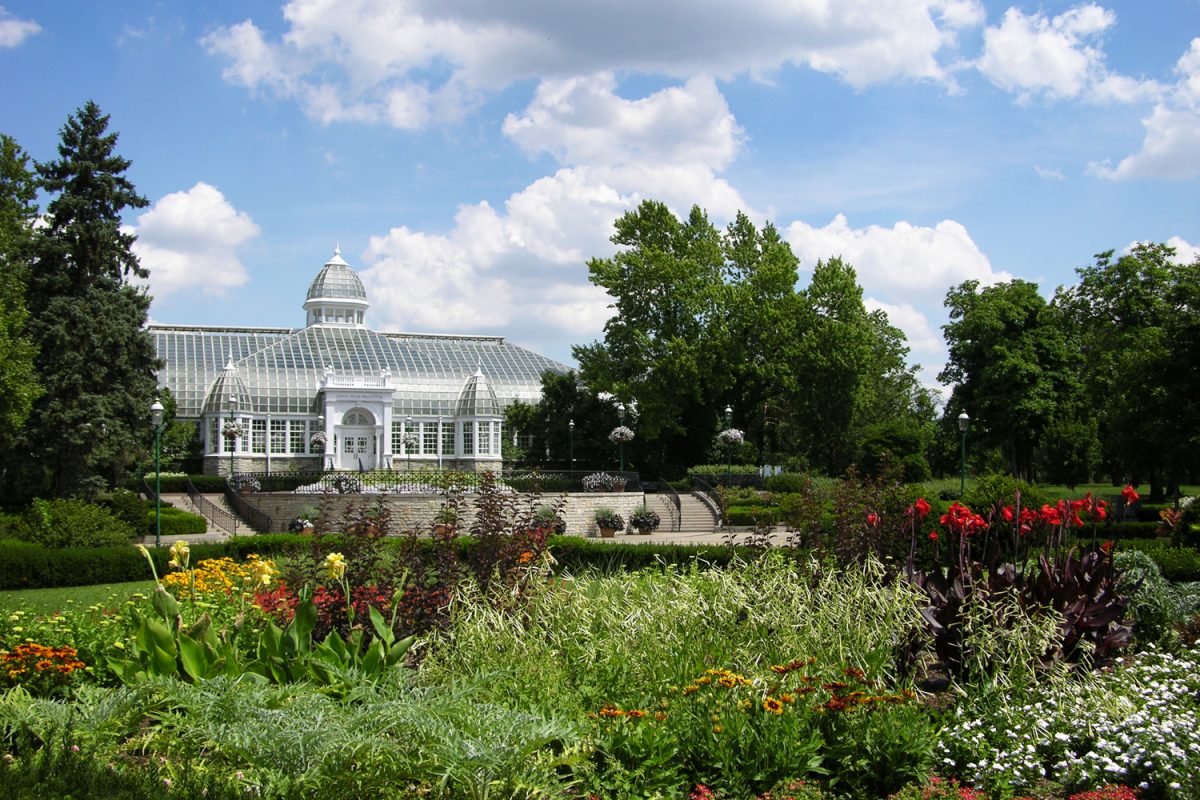 palmhouse2-1200x800 palmhouse2-1200x800